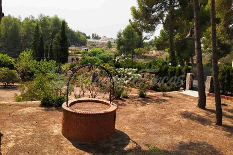 Landejendom i Almansa, Albacete, Almansa - € 235.000 | Ref: SF0548 - foto 28